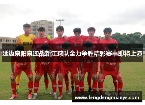 延边泉阳泉迎战新江球队全力争胜精彩赛事即将上演