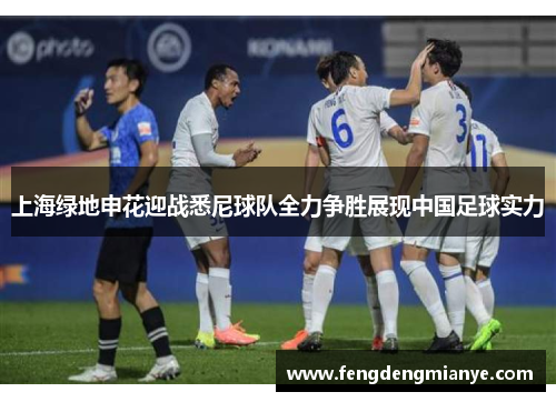 上海绿地申花迎战悉尼球队全力争胜展现中国足球实力