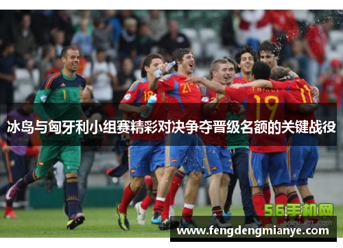 冰岛与匈牙利小组赛精彩对决争夺晋级名额的关键战役