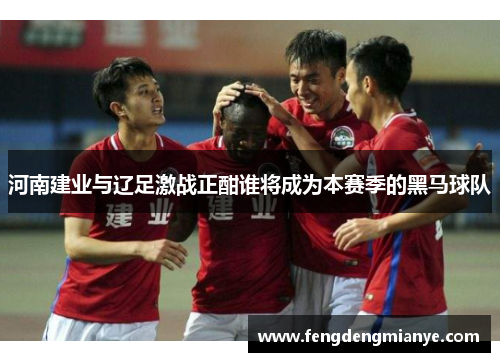 河南建业与辽足激战正酣谁将成为本赛季的黑马球队